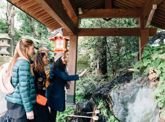 Find tours ideal for group travel with friends and fami