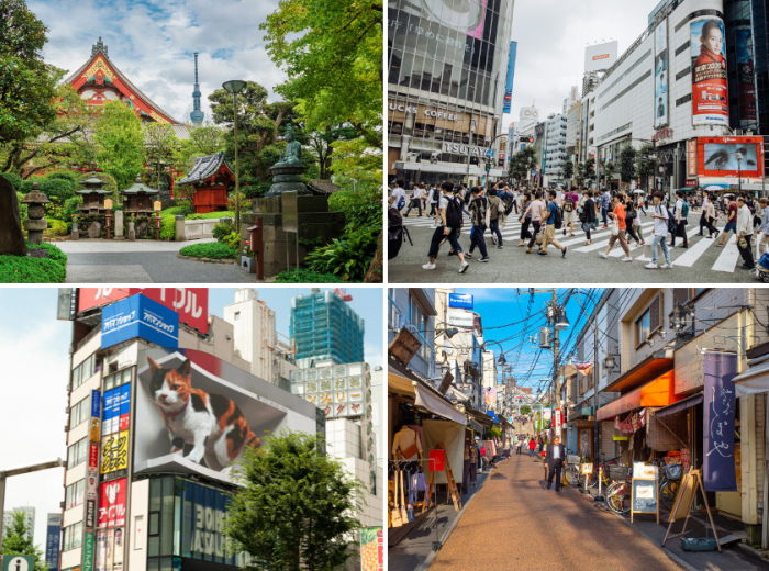 From Shinjuku to Asakusa 