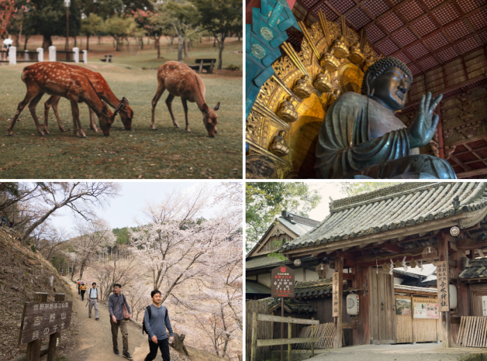 From the Kiso Valley, to Nara 