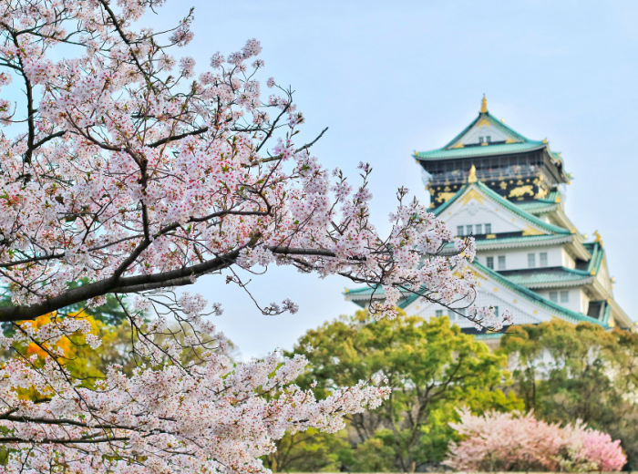 Visit Osaka castle on your day trip