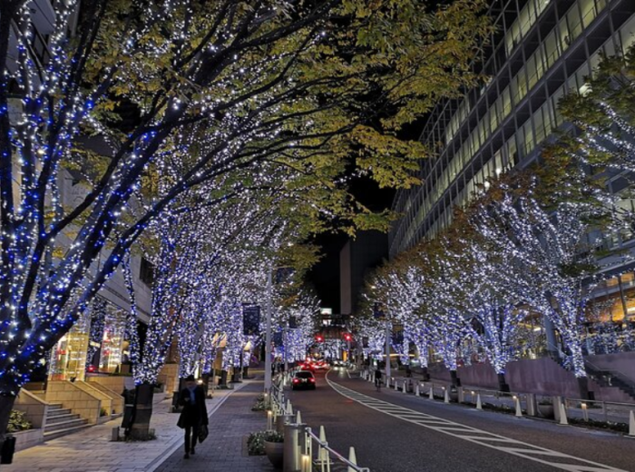 Tokyo's winter spectacular illuminations