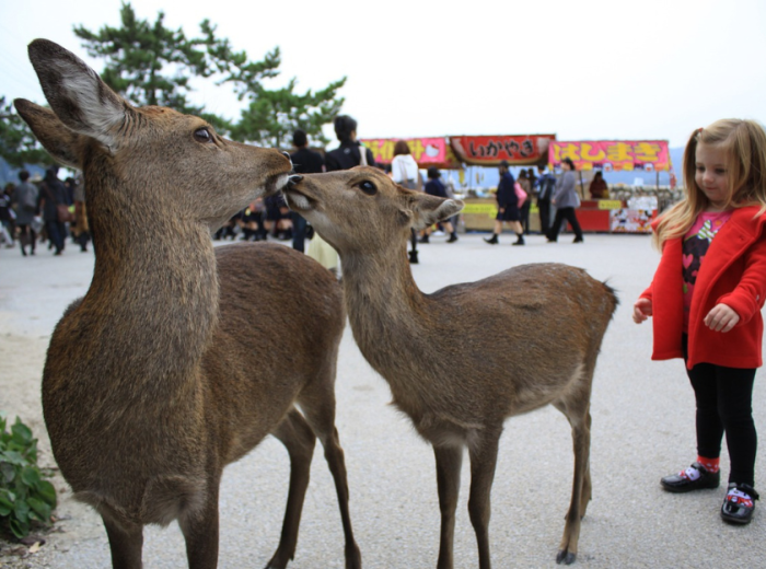 Quiet times in Tokyo with family