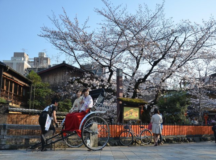Cherry blossom vibes in Tokyo
