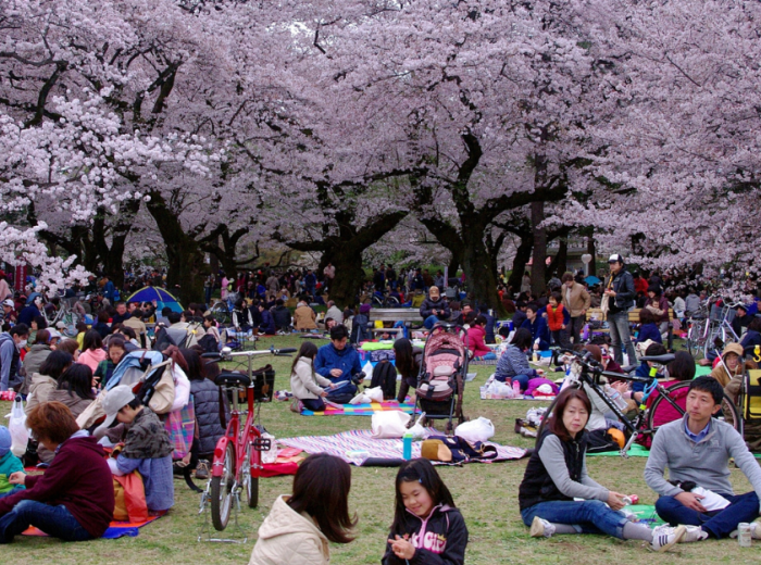 Traditional gatherings in Tokyo
