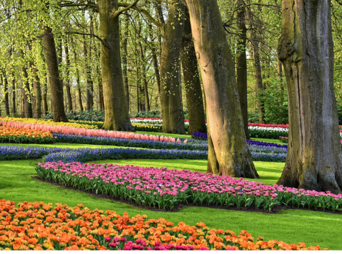 City Unscripted article image