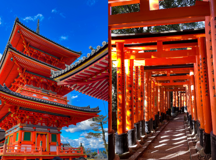 Marvel at Architectural Wonders