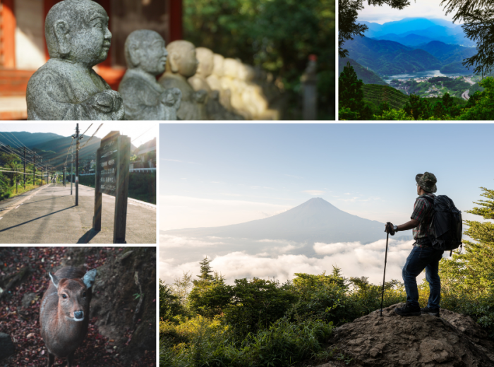 The best day hikes from Tokyo: Discover Tokyo's natural