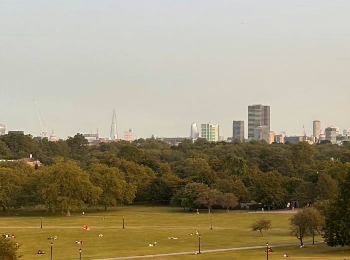 Primrose Hill