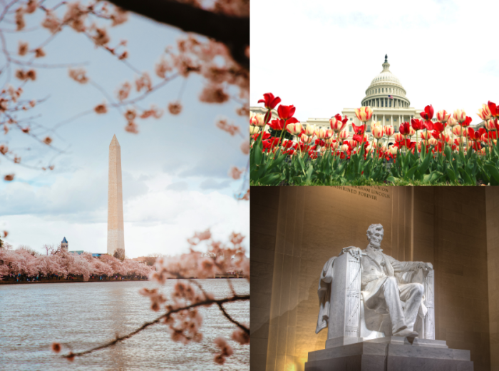 From Breakfast to Blossoms: Washington DC Itinerary