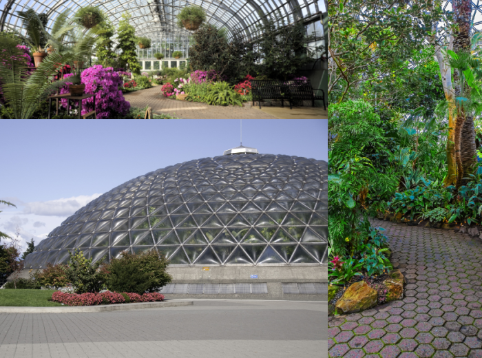 Bloedel Conservatory