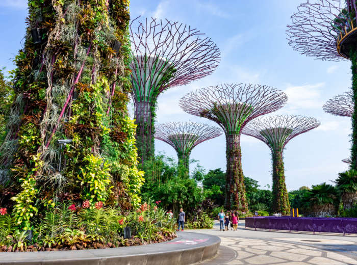 Gardens by the Bay