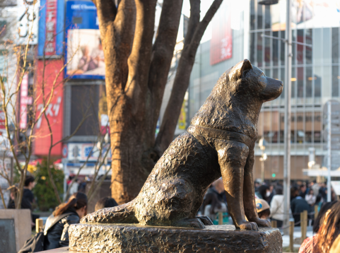 Hachiko Statue