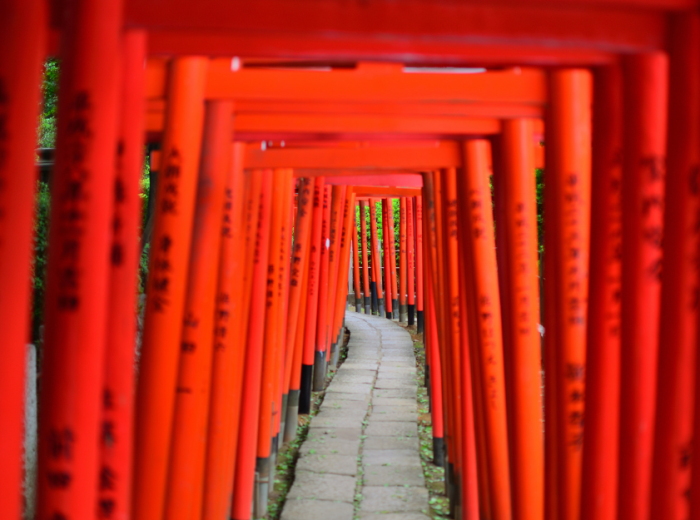 Nezu Shrine