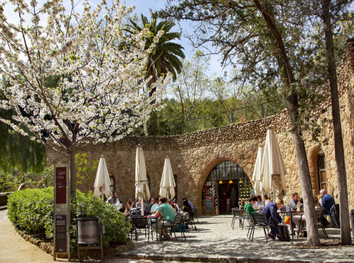 Barcelona's charming cafes