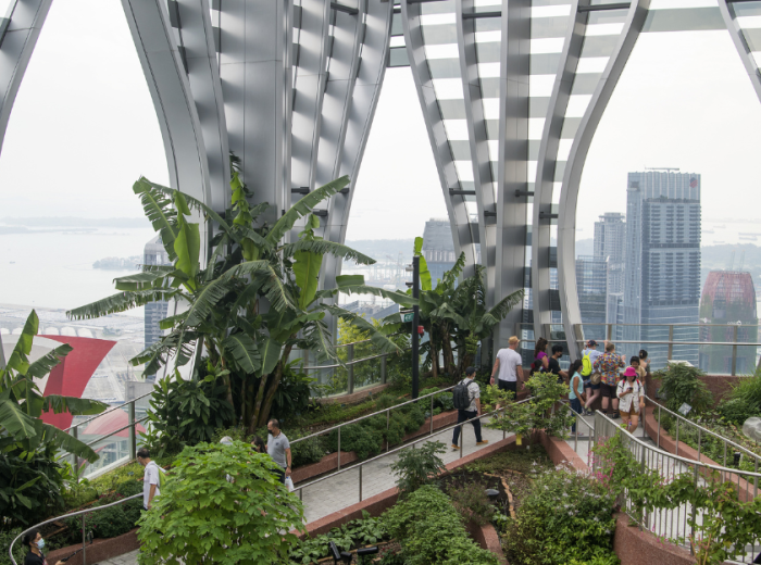 Sky CapitaSpring: Urban Oasis in the Sky