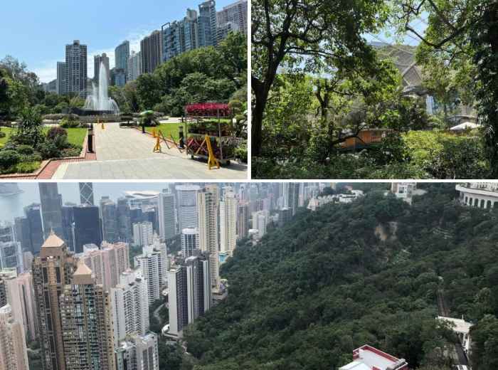 More Than Just a Gardening Area