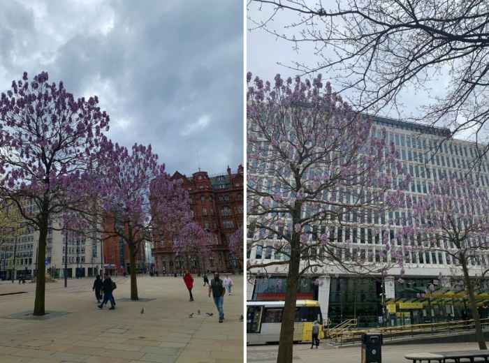 St. Peter’s Square - Emmeline Pankhurst Statue (Suffrag