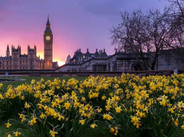 Bread and butter pudding
