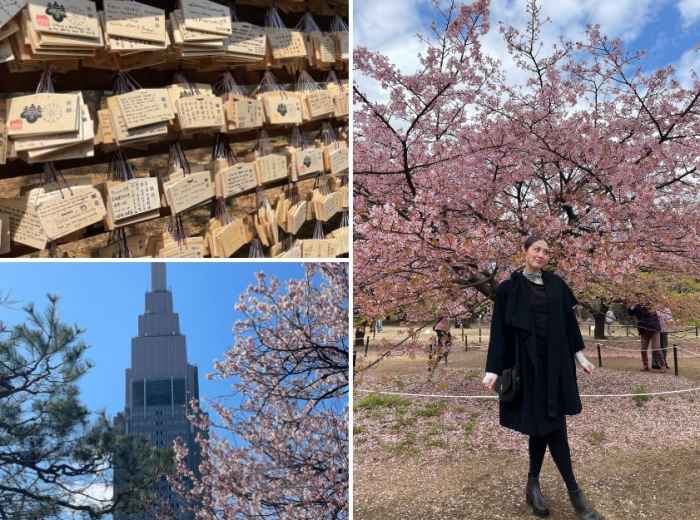 New buildings keep popping up