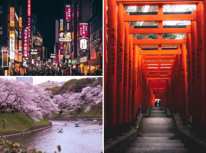 Tokyo Uncovered: A Fun Guide to Navigating Japan’s Capi