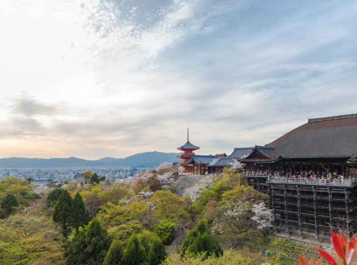 Bird's eye view opportunities for best viewing experien