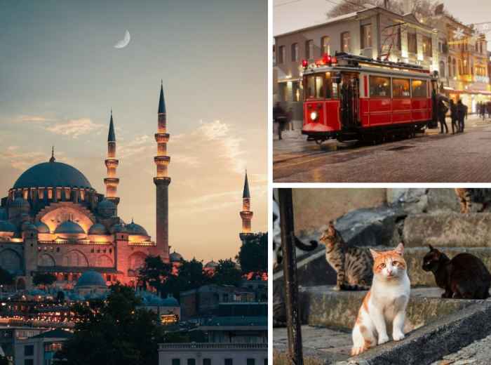 Unusual Things To Do In Istanbul That Are Not In Your G