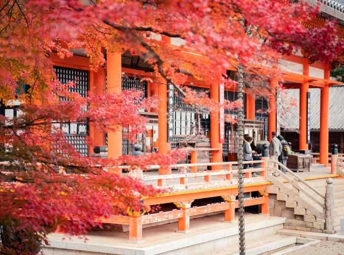 Tourist having an entire temple to themselves during a quiet February morning. Image by Satoshi Hirayama from Pexels