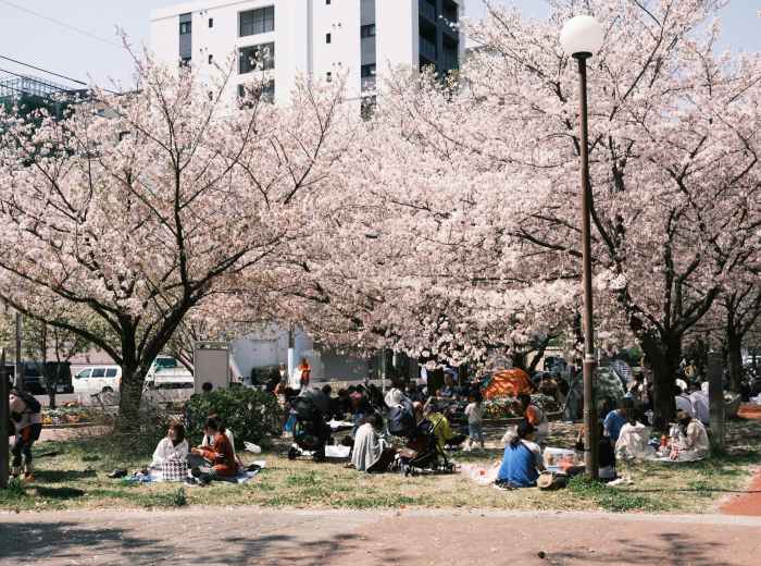 People lounging in a city park Photo by Nichika Sakurai on Unsplash