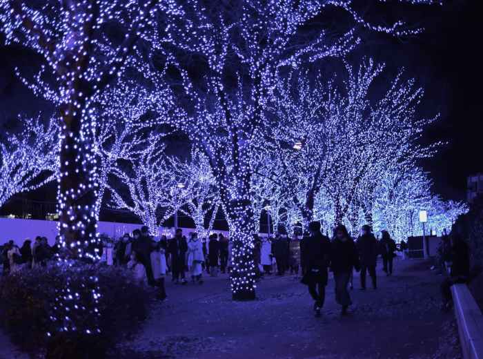 Spectacular winter illumination display in Osaka featuring millions of LED lights Photo by Oswald on Unsplash