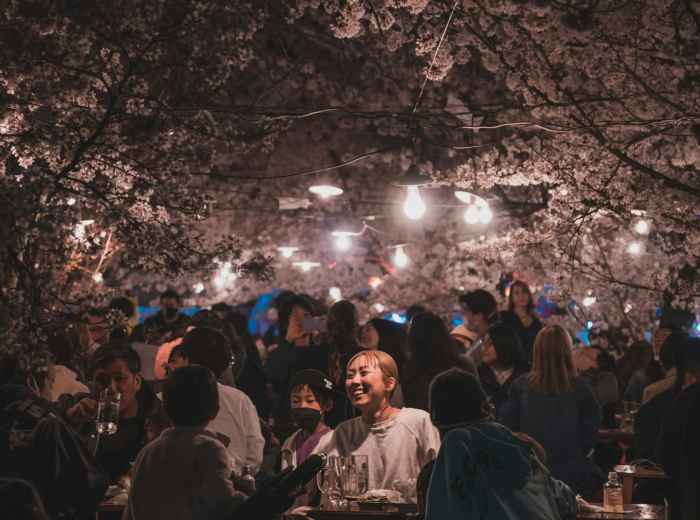 Evening hanami scene with illuminated cherry blossoms and food stalls Photo by Zhaoli JIN on Unsplash