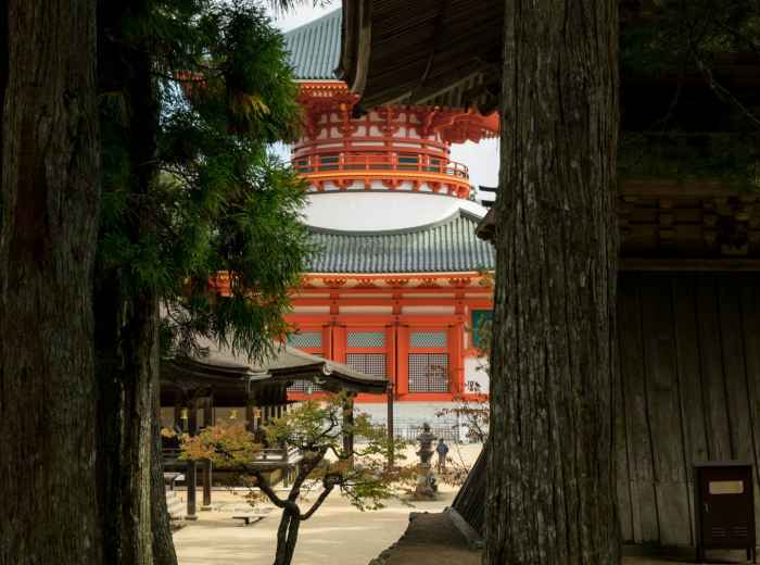 Ancient temple buildings surrounded by cedar forests Photo by Laurent Gence on Unsplash