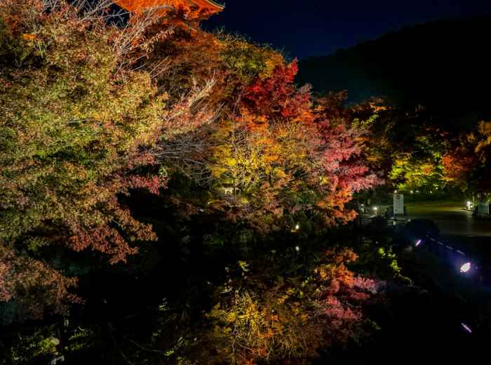 Eikando temple’s famous maple trees illuminated in vibrant autumn colors during a night viewing in Kyoto. Image by Yanghong Yu on Unsplash.