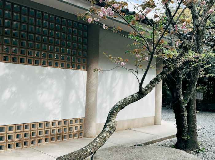 Contemporary building in Kyoto featuring clean lines and Zen-inspired architectural elements.  Image by Natalie Leung on Unsplash.