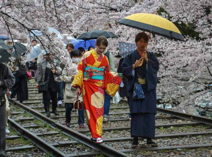 Early morning commuters at Keage Station with cherry blossoms blooming along the edge of the platform.