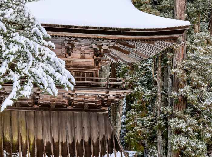 Kinkaku ji temple's golden pavilion reflected in a partially frozen pond with snow on surrounding pine trees Photo by Airbr3ak3r.ZH on Unsplash