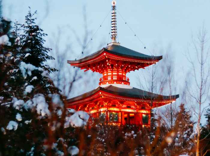 Traditional temple buildings outlined in soft golden lights with snow-covered pine trees in the foreground Photo by Greg Kubrak on Unsplash