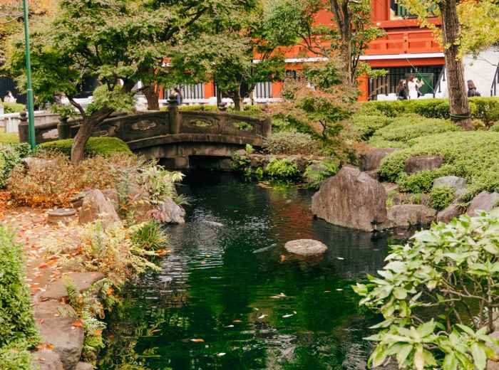Secluded temple garden with a small pond and stone bridge. Image by Micah Camper from Unsplash