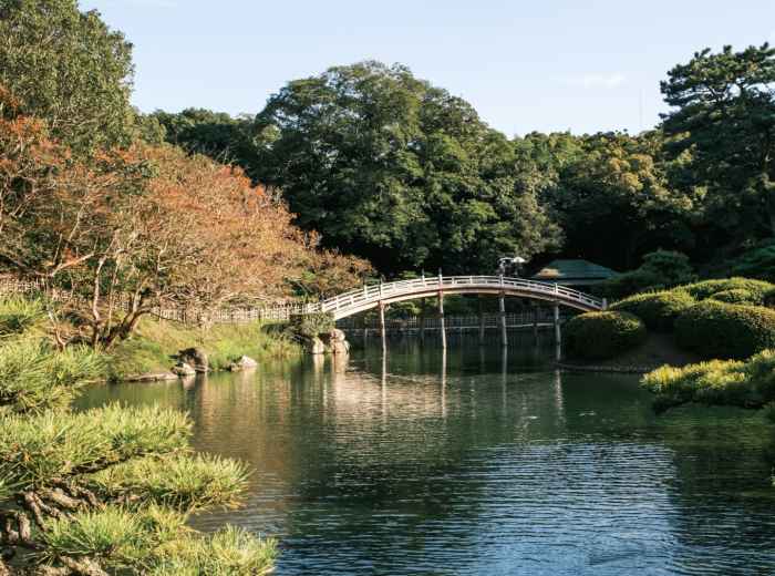 Traditional Japanese garden bridge over a serene pond with koi fish. Image by Daniel Newman from Unsplash