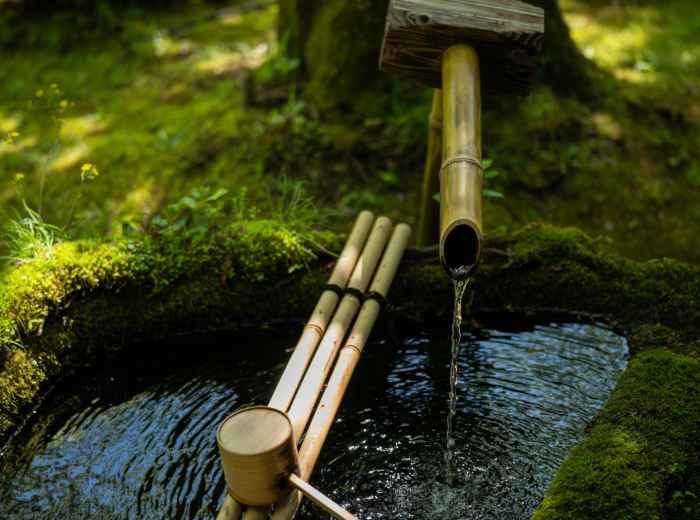 Stone water basin with bamboo fountain in a summer temple garden. Image by Kouji Tsuru from Unsplash