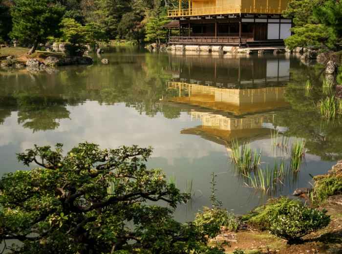 Golden Pavilion reflecting in still pond water surrounded by carefully manicured gardens Photo by Svetlana Gumerova on Unsplash