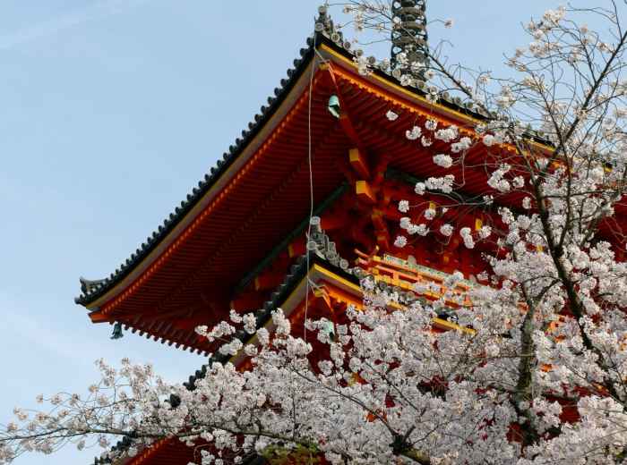 Temple pagoda framed by blooming cherry branches with soft morning light Photo by Josiah Ferraro on Unsplash