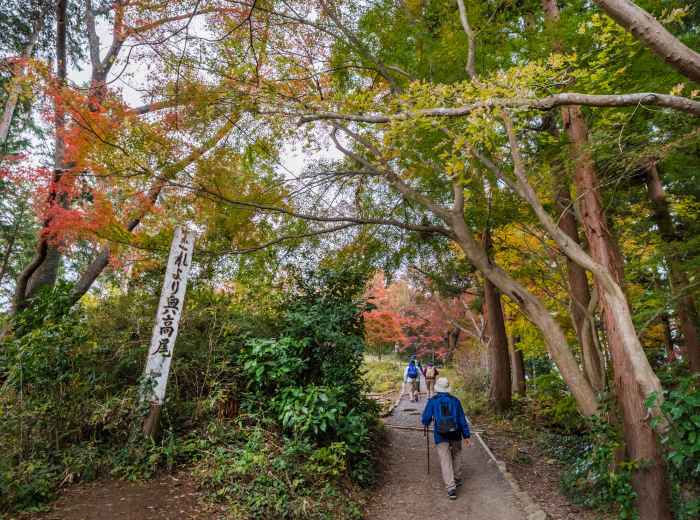 Solo traveler hiking in Tokyo