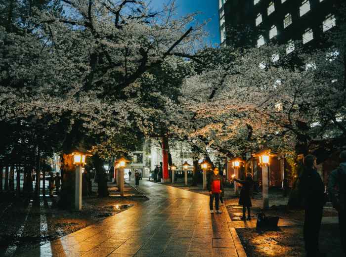 People walking along the lantern lit path: Photo by DRAPE Rasidi: Pexels