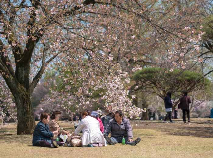 Early morning picnic 