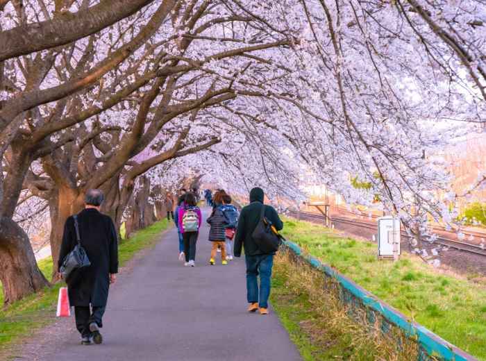 Early morning scene in a park 
