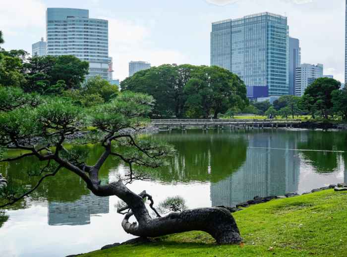 Hamarikyu Park
