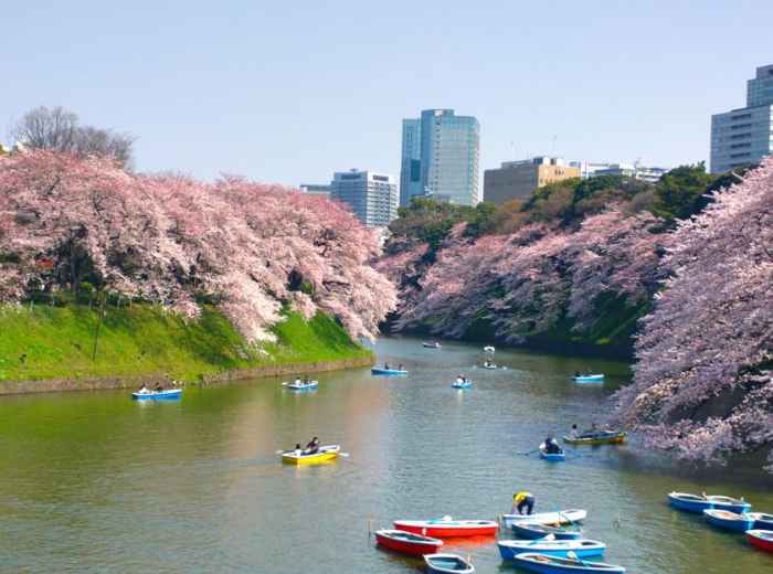 Tokyo in spring
