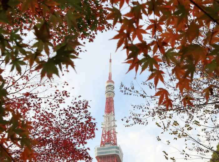 Autumn in Tokyo. Image by raquel bolas on Unsplash.