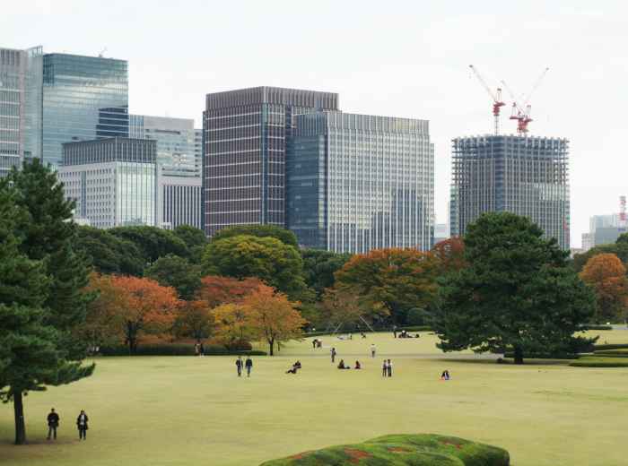 Fall Tokyo. Image by Jasmin Nabong on Unsplash.