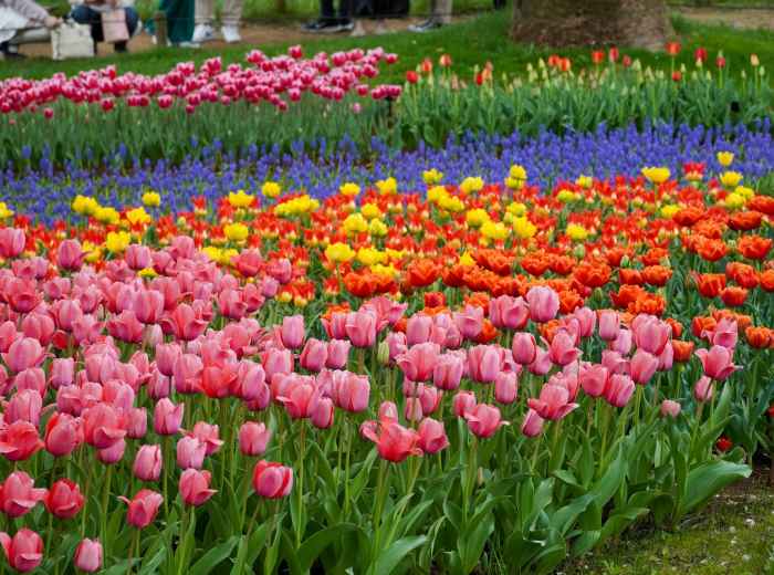 Showa Kinen Park. Image by sabari nathan on Unsplash.